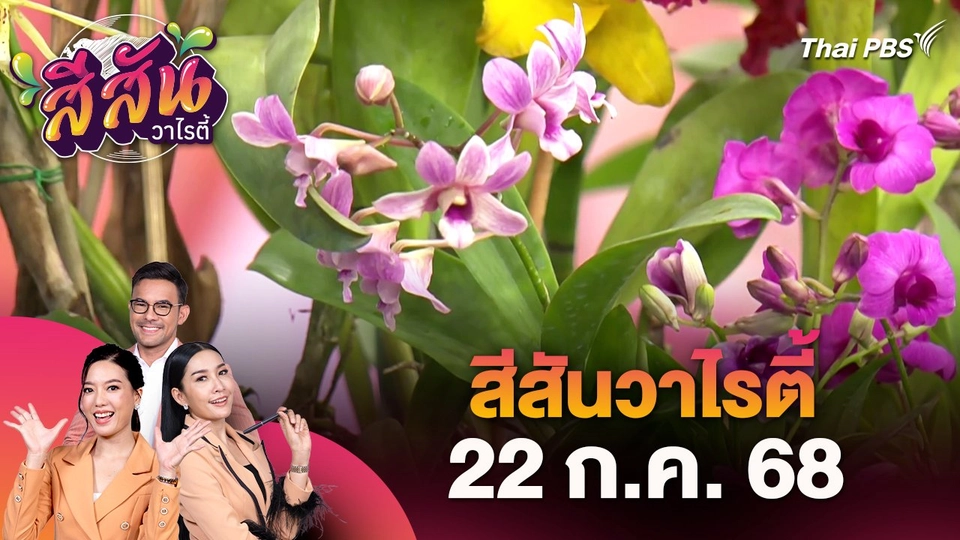 สีสันวาไรตี้ (22 ก.ค. 68)
