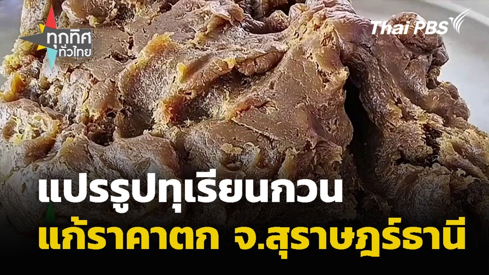 แปรรูปทุเรียนกวนแก้ราคาตก จ.สุราษฎร์ธานี