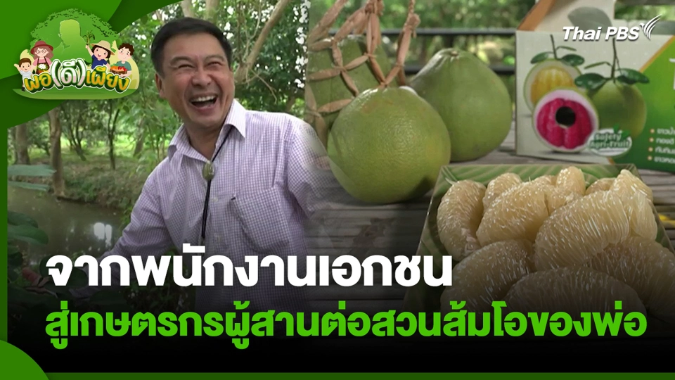 จากพนักงานเอกชน สู่เกษตรกรผู้สานต่อสวนส้มโอของพ่อ