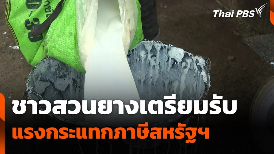 ชาวสวนยางเตรียมรับแรงกระแทกภาษีสหรัฐฯ