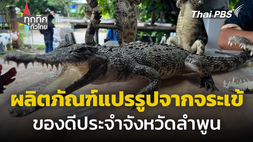 ผลิตภัณฑ์แปรรูปจากจระเข้ จ.ลำพูน