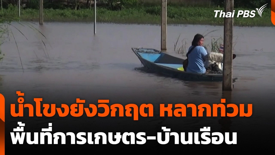 น้ำโขงยังคงวิกฤต ไหลหลากเข้าท่วมพื้นที่การเกษตร-บ้านเรือน