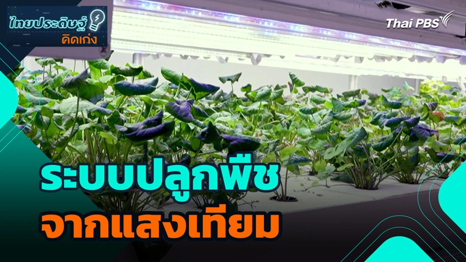 ระบบปลูกพืชจากแสงเทียม