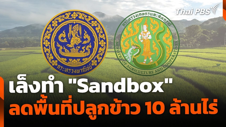 ก.พาณิชย์-ก.เกษตรฯ เล็งทำ "Sandbox" ลดพื้นที่ปลูกข้าว 10 ล้านไร่ | ข่าวค่ำ | 2 ส.ค. 68