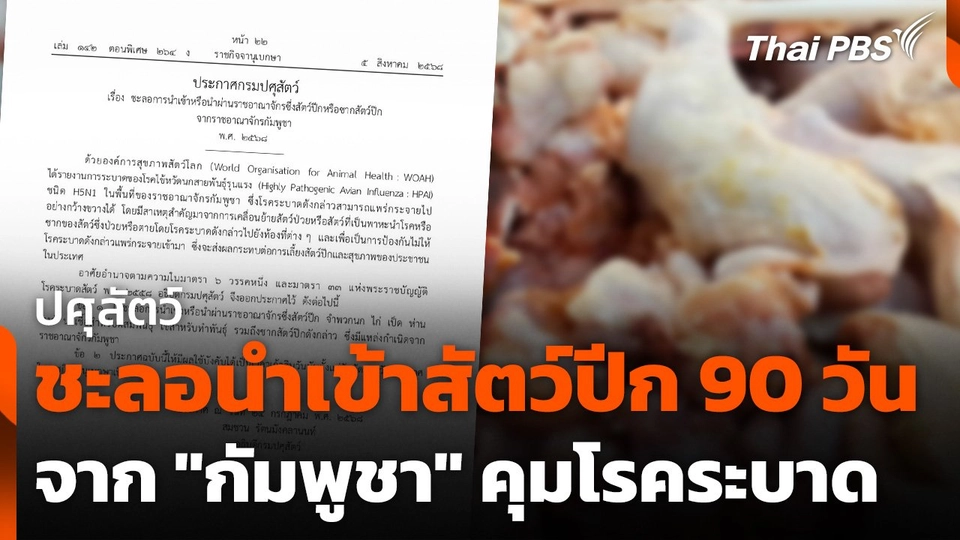 ปศุสัตว์ชะลอนำเข้าสัตว์ปีกจาก "กัมพูชา" 90 วัน คุมโรคระบาด