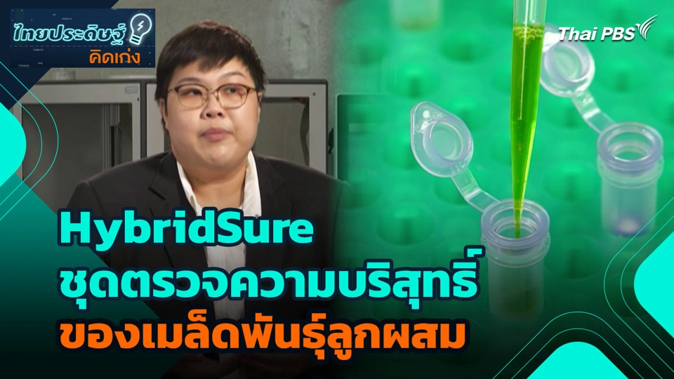 HybridSure ชุดตรวจความบริสุทธิ์ของเมล็ดพันธุ์ลูกผสม