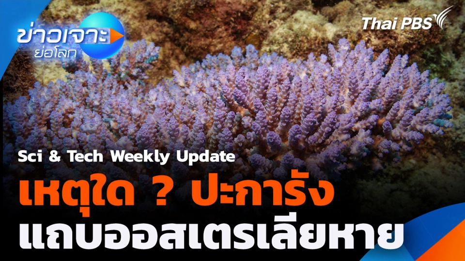 Sci & Tech Weekly Update : เหตุใดปะการังแถบออสเตรเลียหาย