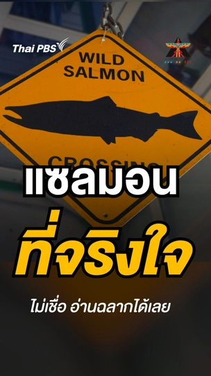 ​แซลมอนที่จริงใจขนาดนี้ เป็นของคุณนะ | A Life on the Road ถนน คน ชีวิต