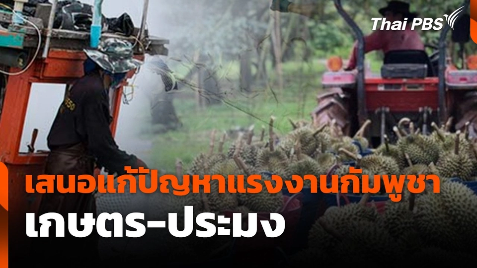 สถานีร้องเรียน : เสนอแก้ปัญหาแรงงานกัมพูชา เกษตร - ประมง