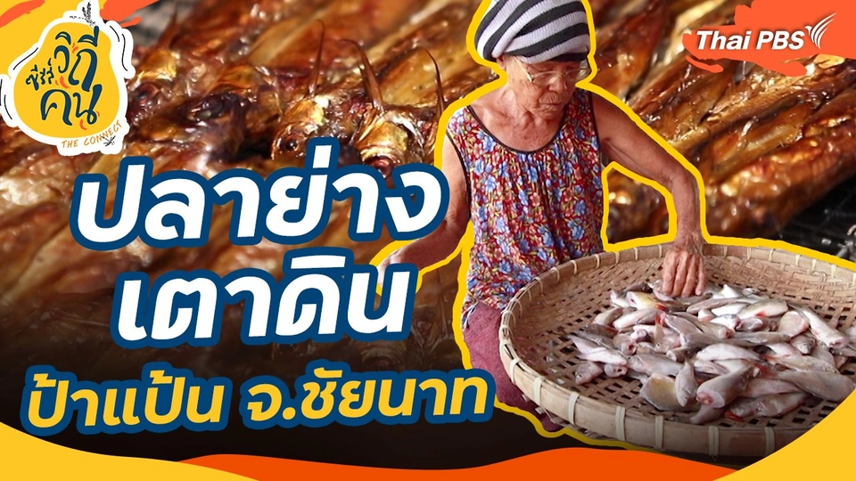 ปลาย่างเตาดิน ป้าแป้น จ.ชัยนาท