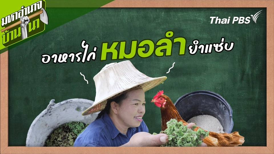 สูตรลับฉบับบ้านนา : อาหารไก่หมอลำยำแซ่บ