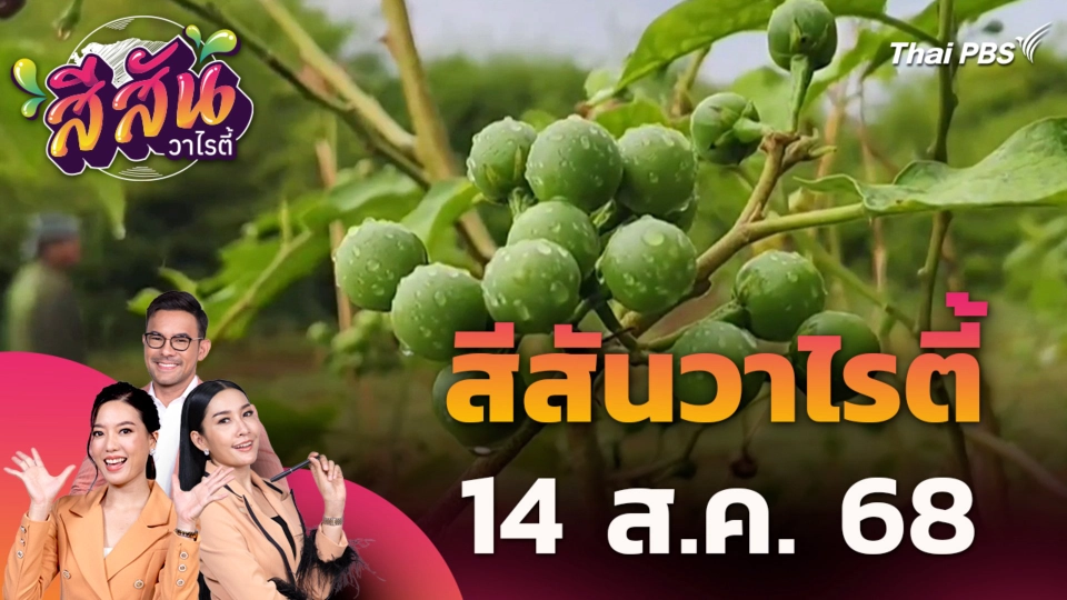 สีสันวาไรตี้ | 14 ส.ค. 68