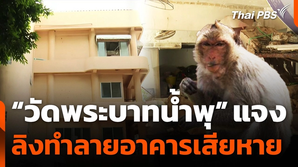 "วัดพระบาทน้ำพุ" แจงลิงทำลายอาคารเสียหาย