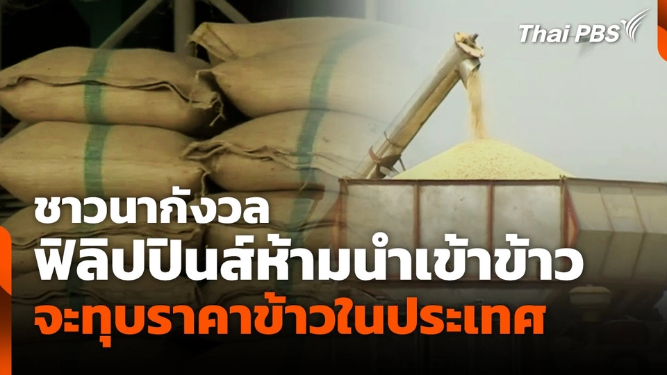 ชาวนากังวลฟิลิปปินส์ห้ามนำเข้าข้าว จะทุบราคาข้าวในประเทศ