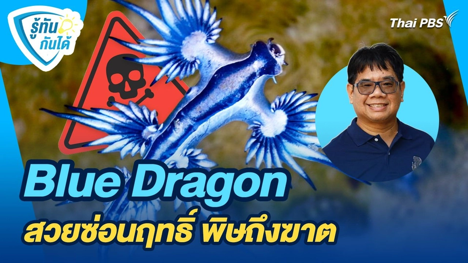 รู้ทันกันได้ : Blue Dragon สวยซ่อนฤทธิ์ พิษถึงฆาต