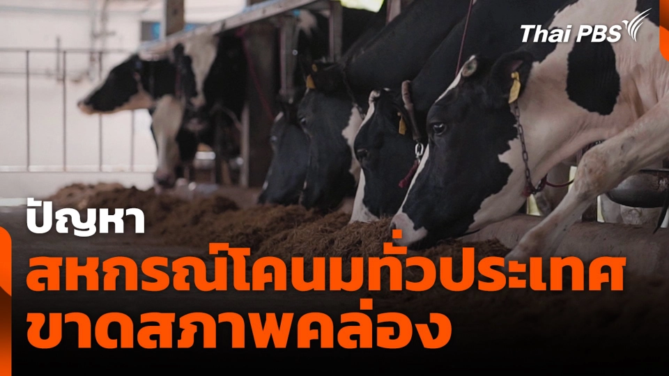 ปัญหาสหกรณ์โคนมทั่วประเทศ ขาดสภาพคล่อง