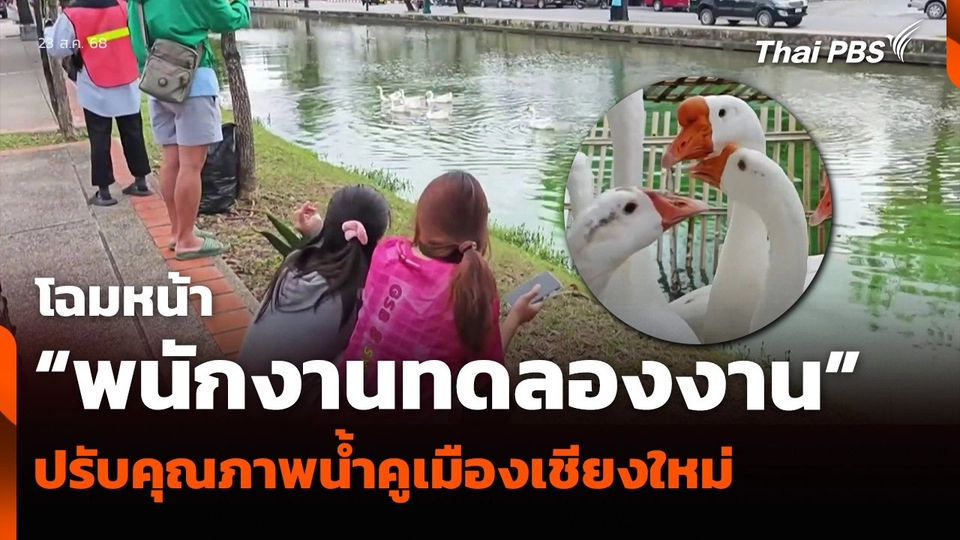 โฉมหน้า “พนักงานทดลองงาน” ปรับคุณภาพน้ำคูเมืองเชียงใหม่