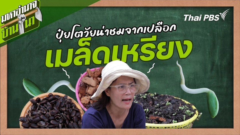 สูตรลับฉบับบ้านนา : ปุ๋ยโตวัยน่าชม จากเปลือกเมล็ดเหรียง