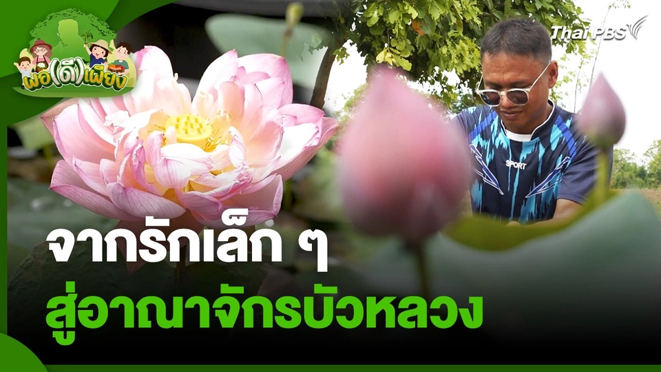 พอดีพอเพียง : จากรักเล็ก ๆ สู่อาณาจักรบัวหลวง