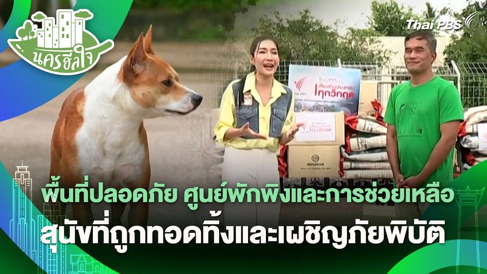 นครฮีลใจ : พื้นที่ปลอดภัย ศูนย์พักพิงและการช่วยเหลือสุนัขที่ถูกทอดทิ้งและเผชิญภัยพิบัติ