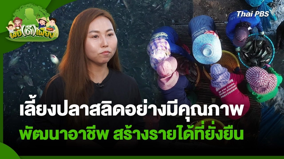พอดีพอเพียง : เลี้ยงปลาสลิดอย่างมีคุณภาพ พัฒนาอาชีพ สร้างรายได้ที่ยั่งยืน