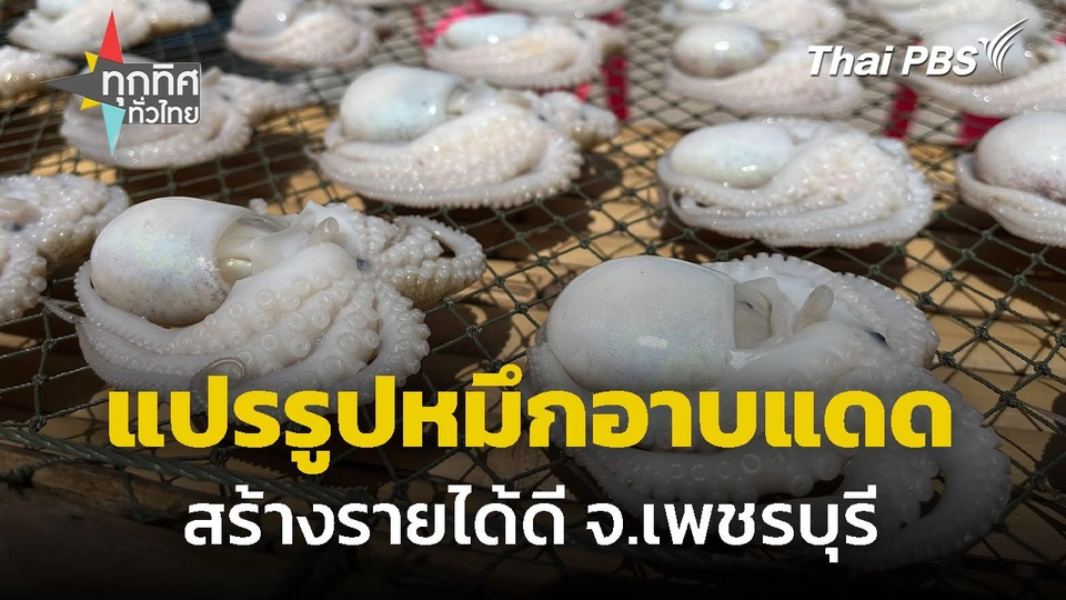แปรรูป "หมึกอาบแดด" สร้างรายได้ดี จ.เพชรบุรี