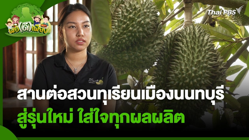 พอดีพอเพียง : สานต่อสวนทุเรียนเมืองนนทบุรี สู่รุ่นใหม่ ใส่ใจทุกผลผลิต