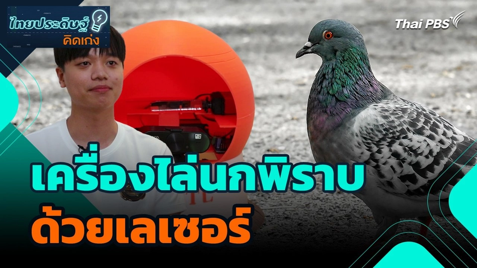 ไทยประดิษฐ์คิดเก่ง : เครื่องไล่นกพิราบด้วยเลเซอร์