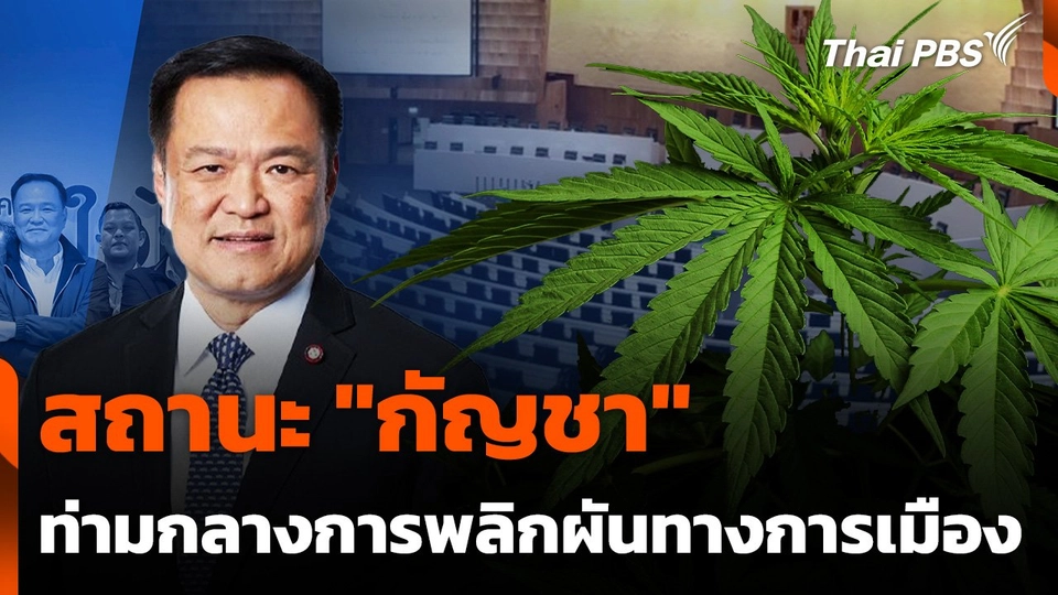 สถานะ "กัญชา" ท่ามกลางสถานการณ์พลิกผันทางการเมือง