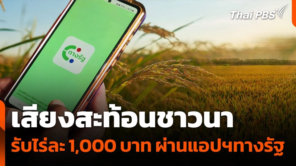 เสียงสะท้อนชาวนา รับไร่ละ 1,000 บาท ผ่านแอปฯ ทางรัฐ