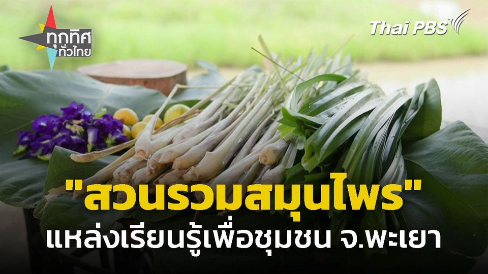 "สวนรวมสมุนไพร" เพื่อชุมชน จ.พะเยา