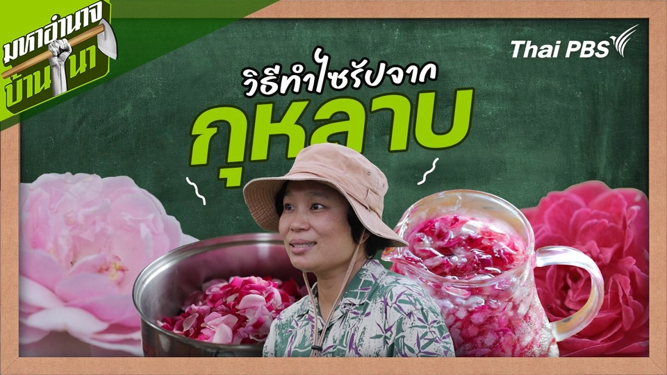 สูตรลับฉบับบ้านนา : วิธีทำไซรัปจากกุหลาบ