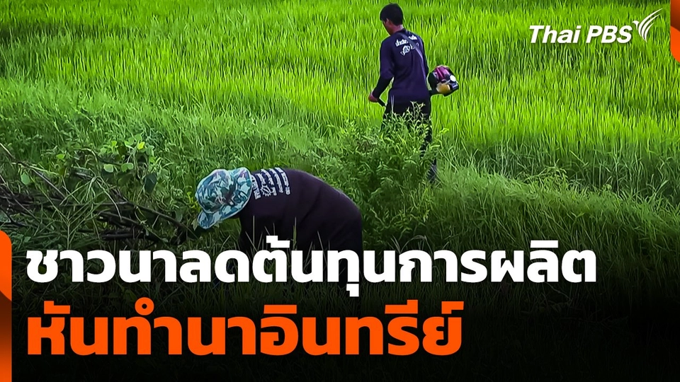 ชาวนาลดต้นทุนการผลิตหันทำนาอินทรีย์