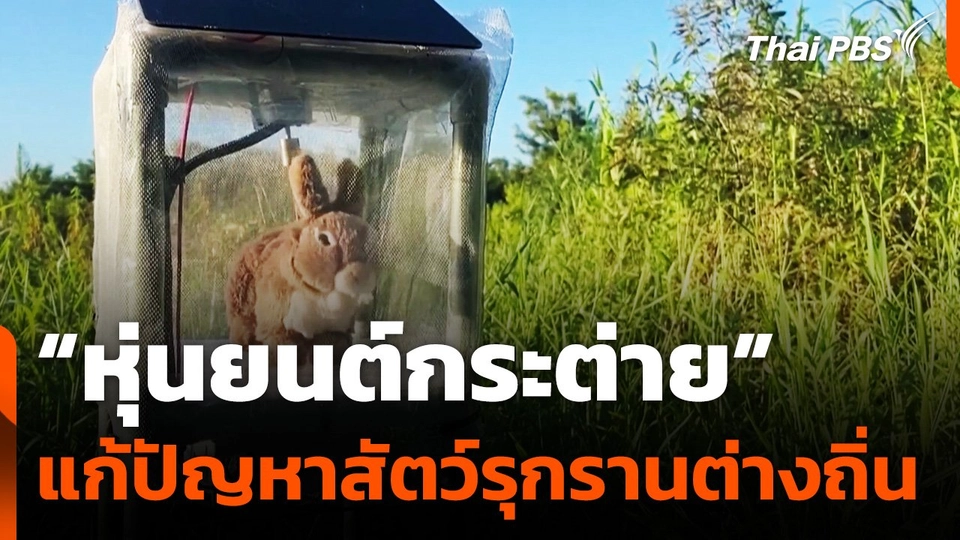 สหรัฐฯ ใช้ "หุ่นยนต์กระต่าย" แก้ปัญหาสัตว์รุกรานต่างถิ่น