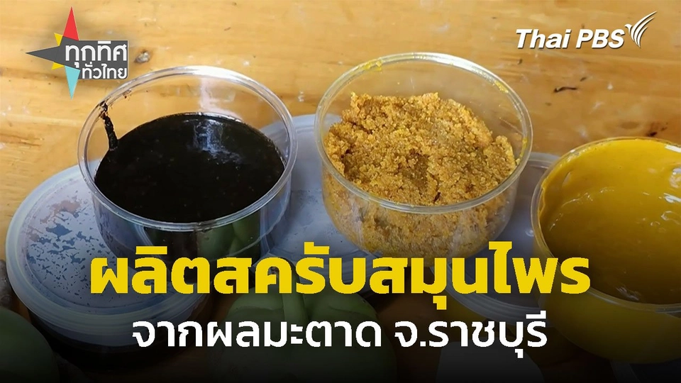 ผลิตสครับสมุนไพร จากผลมะตาด จ.ราชบุรี