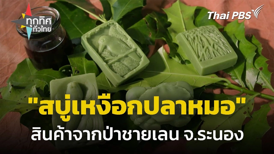 "สบู่เหงือกปลาหมอ" สินค้าชุมชนจากป่าชายเลน จ.ระนอง