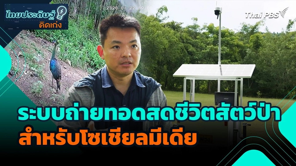 ไทยประดิษฐ์คิดเก่ง : ระบบถ่ายทอดสดชีวิตสัตว์ป่าสำหรับโซเชียลมีเดีย