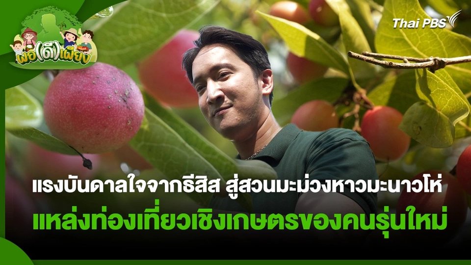 พอดีพอเพียง : แรงบันดาลใจจากธีสิส สู่สวนมะม่วงหาวมะนาวโห่ แหล่งท่องเที่ยวเชิงเกษตรของคนรุ่นใหม่