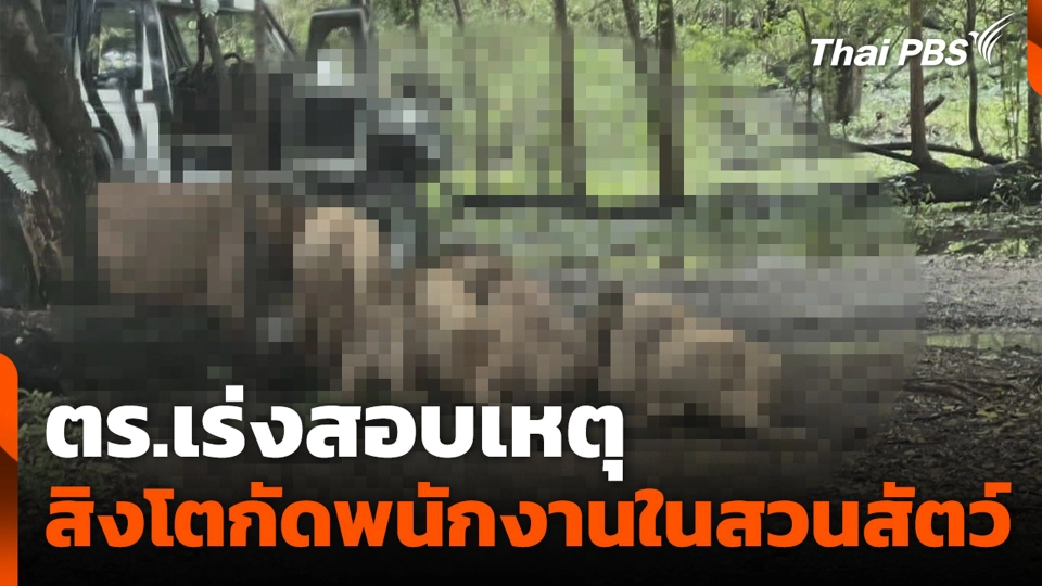 ตร.เร่งสอบเหตุสิงโตกัดพนักงานในสวนสัตว์
