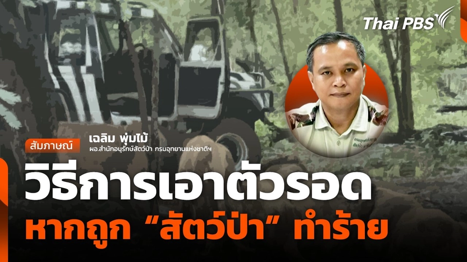 วิธีการเอาตัวรอด หากถูก "สัตว์ป่า" ทำร้าย