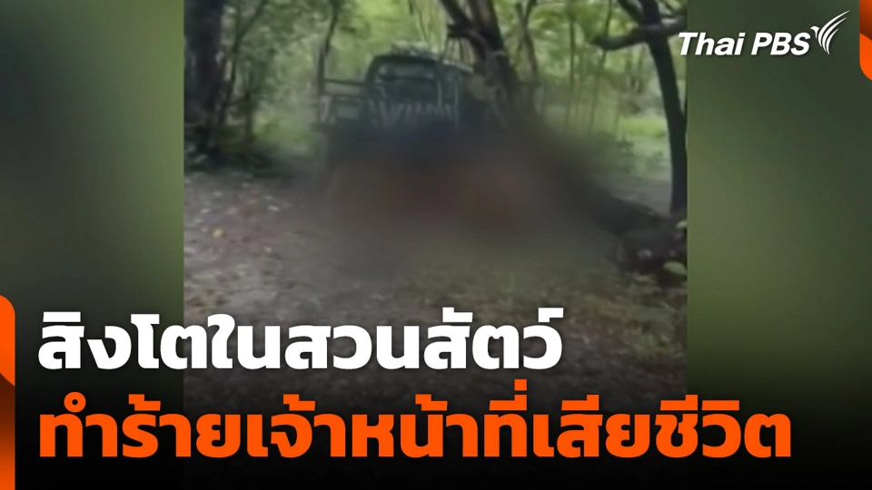 สิงโตในสวนสัตว์ ทำร้ายเจ้าหน้าที่เสียชีวิต