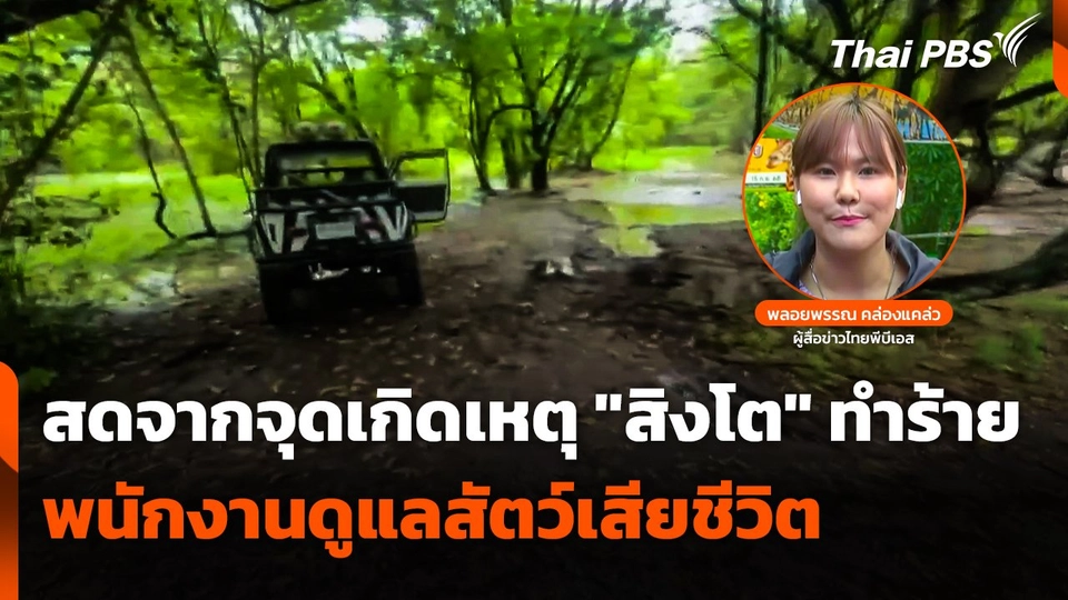 รายงานสด "สิงโต" ทำร้ายพนักงานดูแลสัตว์เสียชีวิต