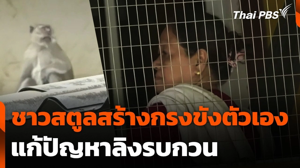 ชาวบ้าน จ.สตูล สร้างกรงขังตัวเองแก้ปัญหาลิงรบกวน