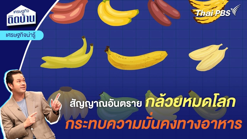 สัญญาณอันตรายกล้วยหมดโลก กระทบความมั่นคงทางอาหาร | เศรษฐกิจน่ารู้