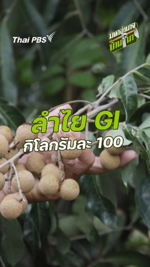 ลำไย GI กิโลกรัมละ 100