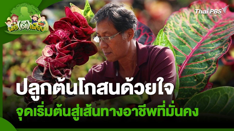 พอดีพอเพียง : ปลูกต้นโกสนด้วยใจ จุดเริ่มต้นสู่เส้นทางอาชีพที่มั่นคง