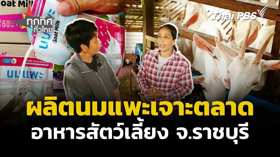 ผลิตนมแพะเจาะตลาดอาหารสัตว์เลี้ยง จ.ราชบุรี