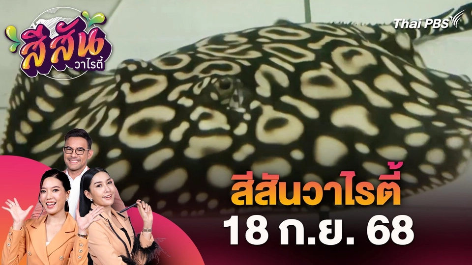 สีสันวาไรตี้ (18 ก.ย. 68)