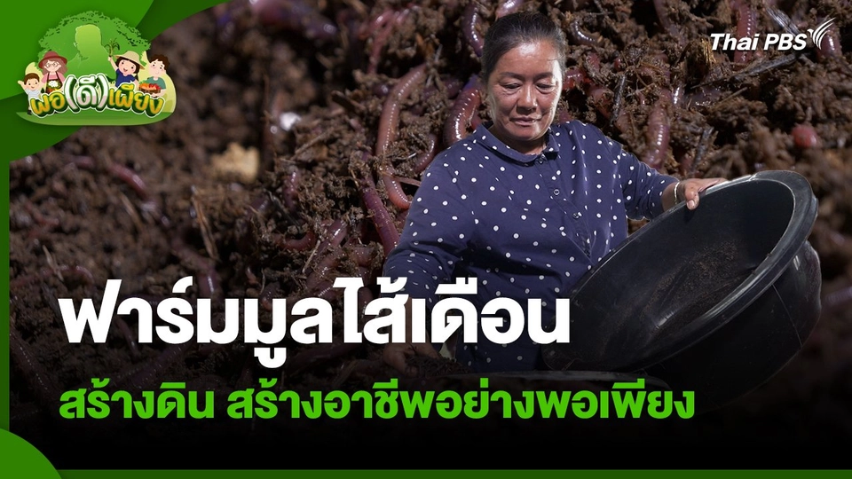 พอดีพอเพียง : ฟาร์มมูลไส้เดือน สร้างดิน สร้างอาชีพอย่างพอเพียง