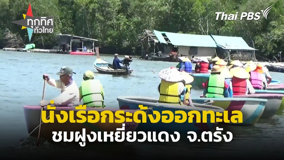 นั่งเรือกระด้งออกทะเลชมฝูงเหยี่ยวแดง จ.ตรัง